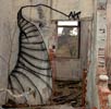 yano | animalkorps | italy (2 votes)